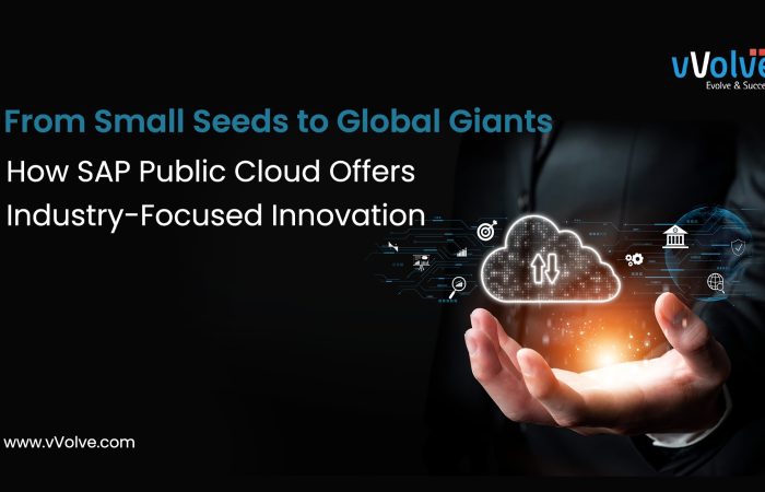 From Small Seeds to Global Giants: How SAP Public Cloud Offers Industry-Focused Innovation